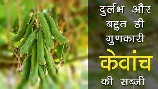 आयुर्वेदिक गुड़ो से भरपूर की सब्जी  | kevanch ki sabji recipe in Hindi | कौंच की सब्जी कैसे बनाए