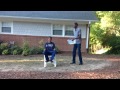 Beginning of video