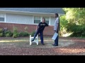 End of video
