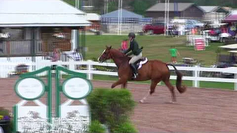 Video of RICO SUAVE ridden by GRACE WEBSTER from S...
