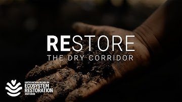 How Central America is fighting drought with nature
