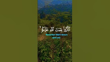تلاوة تفوق الوصف قرأن كريم تخشع له القلوب #elmulquranعلم #تلاوة #قران_كريم #اكسبلور #trend