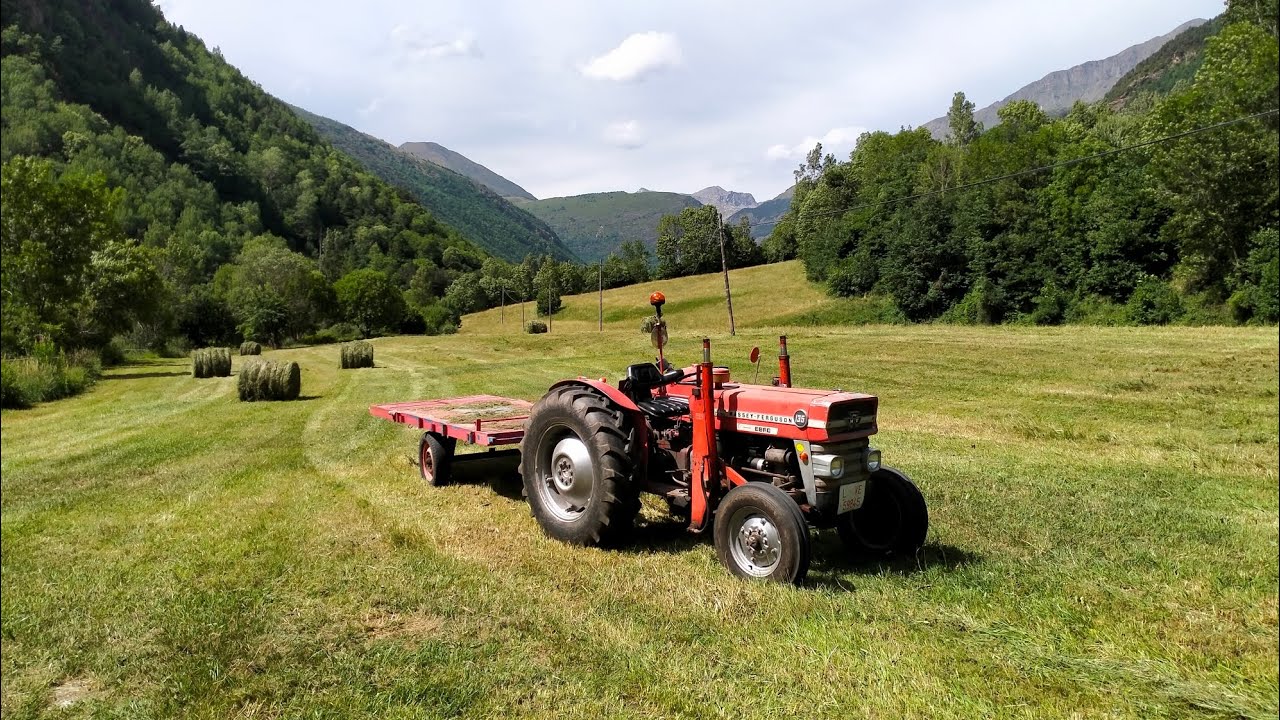 Tractor Massey Ferguson 135 Ebro con plataforma va a buscar las balas hierbas Parte 2 YouTube