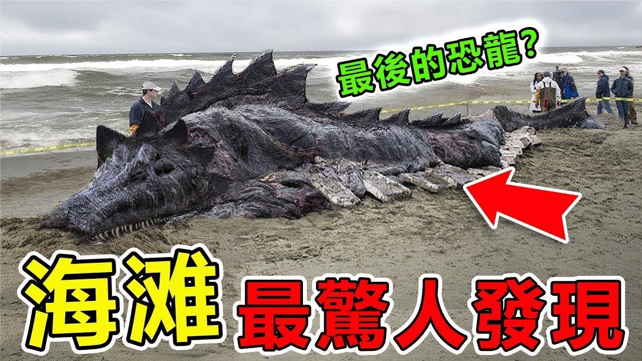 海上意外捕獲的十個可怕生物，長相怪異面部恐怖，第一名嚇壞科學家，沒想到竟然真的存在！