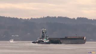 Tugboat in the Puget Sound