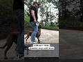 VERY USEFUL concept to teach dogs!!