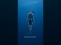 It glows downward to erase its own shadow 🪞✨ #hatchetfish #stealth #AI
