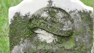 2020 Virtual Hall County Historical Society Cemetery Tour