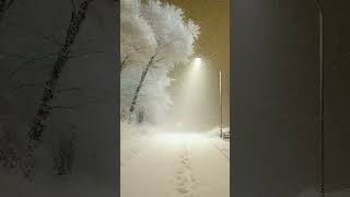 snow falling #reel #amazing #viral #videos #everyone #fun #shorts