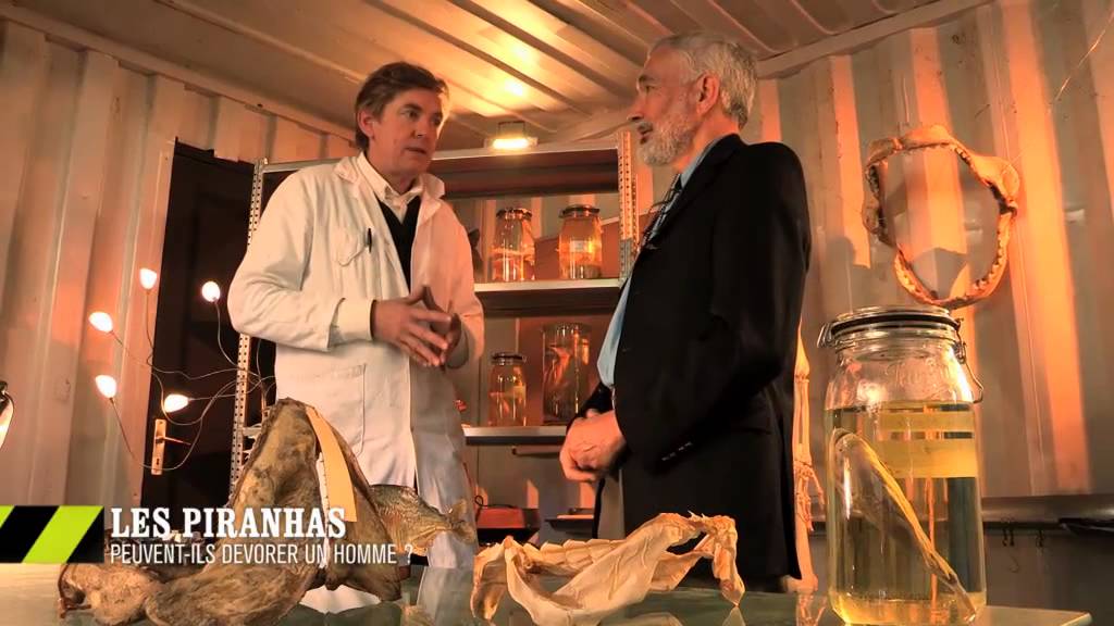 Les Piranhas Peuvent Ils Manger Un Homme Synergies