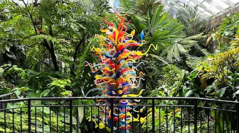 Botanical Garden Tour @ Fairchild! A Dream come true~~