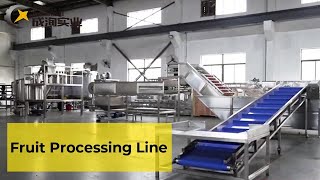 Best fruit and vegetable processing line