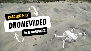 Råbjerg Mile - Dronevideo