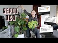REPOT Q&A