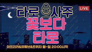 [꽃보다타로/타로]실시간,상담,사주,관상,손금,신점,고민상담,연애상담,