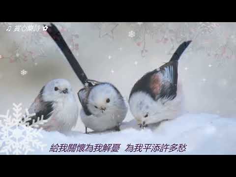 ✿ 流行金曲 雙語演繹精選(C16-476) (國  粵)【讓我歡喜讓我憂 ~ 周華健 ● 情人知己 ~ 葉倩文】＃賞心懷舊金曲 ✿