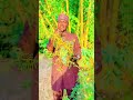 Halifan Fada Jibia 
