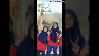 Keseruan OUTING CLASS INCERAH SCHOOL ke Jatim Park 2 #sekolahramahanak #anakhebatindonesia