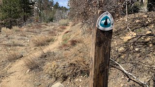 PCT 2019 | Day 19 | My Choose My Own Adventure
