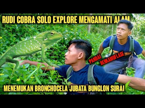 Solo explore si