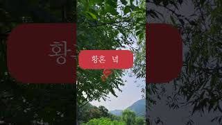 녘'은 '어떤 때의 무렵', 의존 명사로 띄어 쓰는 것이 원칙이지만 그 속사정은? #shorts #우리말 #…