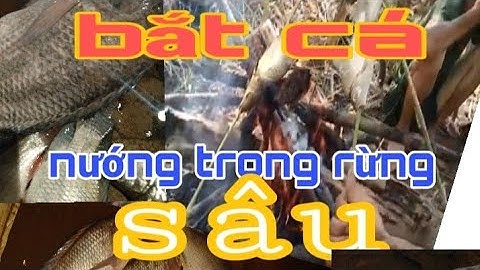 Bắt cá suối - phần 1 ( Tây Nguyên hoa Ban)