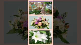 Bachman's | Spring Celebrations