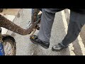 BarnacleBike pedals