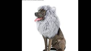 Onmygogo Lion Mane Wig for Dogs - Best Buy