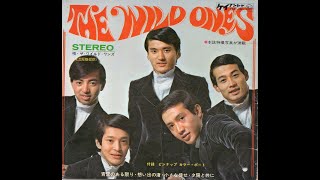 ザ・ワイルドワンズ The Wild Ones ギターピック 1257】THE WILD ONES ① - YouTube