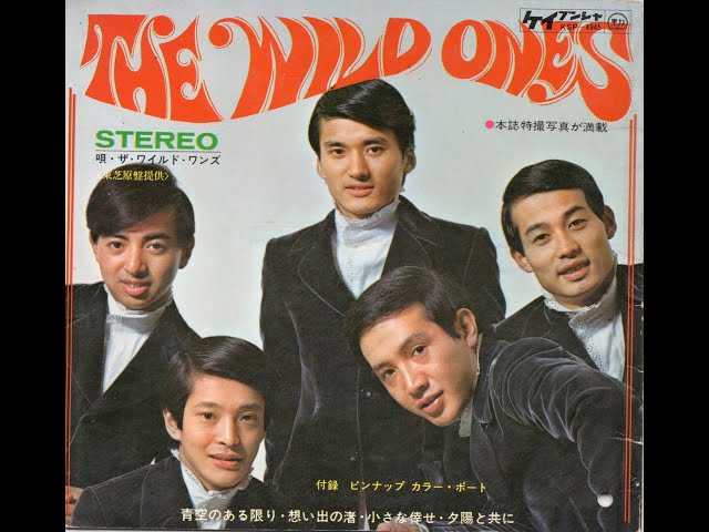 ザ・ワイルドワンズ The Wild Ones ギターピック 1257】THE WILD ONES ① - YouTube