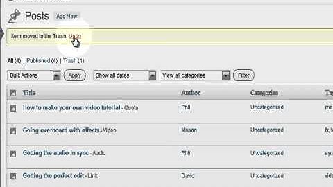 Basic WordPress- How to trash post
