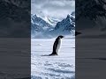 Penguin life #fyp #penguin #antarctica #ai