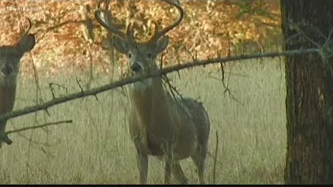 Bibb County may prohibit hunting close to homes