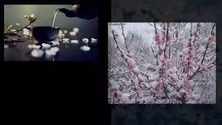 Tuyết...tháng Năm - Tung Nguyen Musical Recording