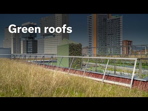 Green roofs (english)