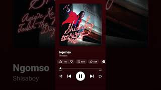 Shisaboy  Ngomso youtubeshorts trowback house