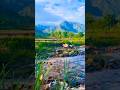 Naturaleza que Inspira: Un Viaje de Paz y Serenidad”