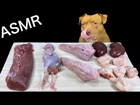 【飯テロASMR】最強な犬ピットブルの咀嚼音が脳の疲れを癒す⁉︎見るだけでリラックス効果抜群！