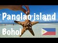 【PANGLAO ISLAND in BOHOL】My favorite island in Philippines 2020