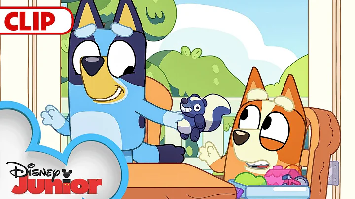Bluey Season 3 Episode 23 "Family Meeting" Episode Clip | @disneyjr