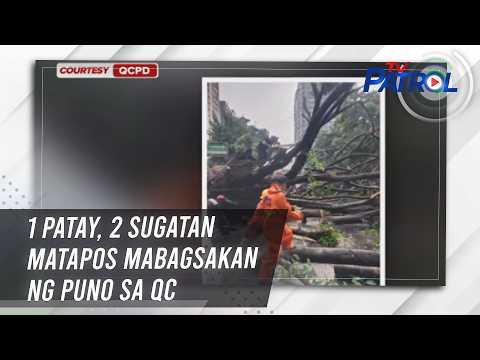 1 patay, 2 sugatan matapos mabagsakan ng puno sa QC | TV Patrol