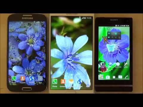 Butterfly live wallpaper