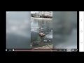 Dog Rescue - Russian Man Jumps in Icy River To Save Drowning Dog