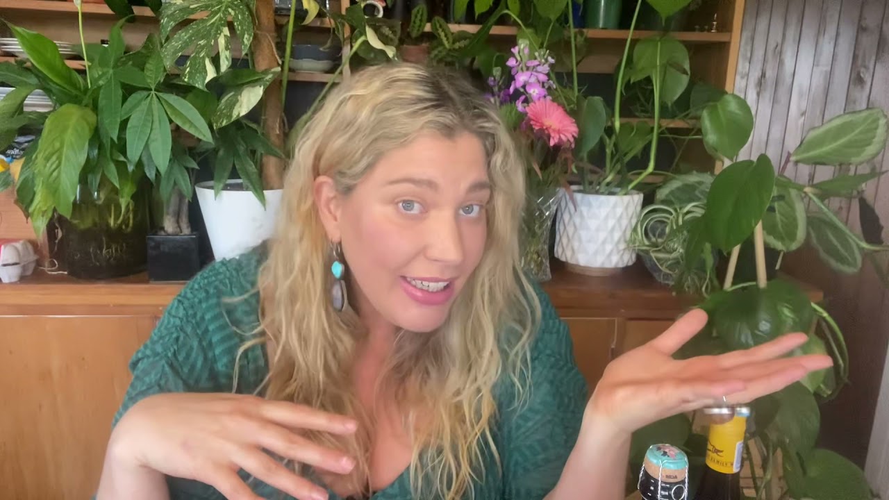 Jemma’s moreish finds ~ Fantail & Turtle Wine Club July (for those who missed out)