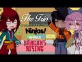 The Trio reacts to the Ninja’s !! // Ninjago Gacha Reaction || Set to 2x! 🐉🎋