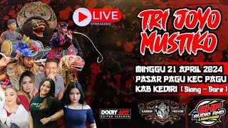 Live jaranan hari ini TRI JOYO MUSTIKO Pasar Pagu Kediri ft SHF Pro Audio