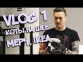 ВЛОГ 1. (Коты на шее, мерч, IKEA)