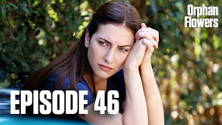 Kırgın Çiçekler I Orphan Flowers - Episode 46