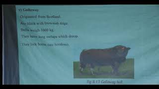 SCIENCE Lesson 14 Topic : Beef Cattle Breed